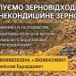 Закуповуємо по Україні зерновідходи та некондицію - фото № 1