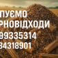Купуємо зерновідходи - фото № 1