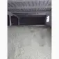 Продам горох зеленый 2026 - фото № 1