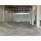 Горох зелений - фото № 2