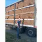 Продам очерет камиш тростину для покрівлі даху - фото № 1