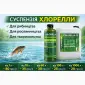 Суспензія Хлорелли від виробника. Живий планктонний штамм - фото № 1
