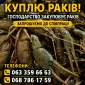 Закуповуємо Рака - фото № 1
