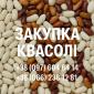 Закупівля квасолі оптовими партіями - фото № 1