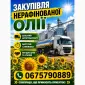 Закупка нерафинированного масла - фото № 1