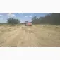 Продам сіно суданки - фото № 2