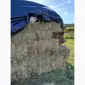 Сіно лугове - фото № 1