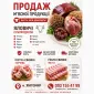 Продам субпродукти яловичі - фото № 1