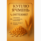 Куплю ячмінь - фото № 1