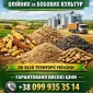Приймаємо зернові відходи та некондиційну продукцію - фото № 1