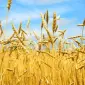Готовы к сотрудничеству уже сегодня - звоните или пишите - фото № 2