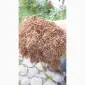 Продам тютюн великий асортимент можливо ОПТ - фото № 2