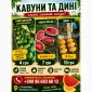 Продам кавун - фото № 1