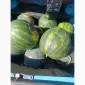 Продам кавун топган - фото № 4
