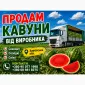 Продам кавун - фото № 2