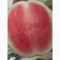 Продам кавун з поля. гурт - фото № 1