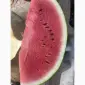Продам арбуз - фото № 5