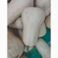 Гарбуз батернад та мускат де прованс з пдв - фото № 1