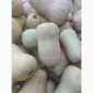 Гарбуз батернад та мускат де прованс з пдв - фото № 2