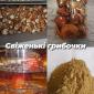 Лікувальні гриби оптом - фото № 1