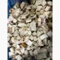 Продаж.Білі гриби морожені ( кубик 1.5×1.5 ) - фото № 1