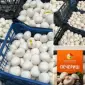 Продам ШАМПІНЬОНИ(печериці) від виробника(Київська область) - фото № 1