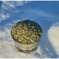 Махорка тютюн домашній 600 грн - фото № 1