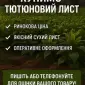 Купимо тютюновий лист за ринковою ціною - фото № 1