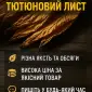 На постійній основі купимо лист тютюну - фото № 1