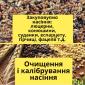Купуємо насіння гірчиці - фото № 1