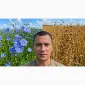 Насіння льону Каолін - фото № 2