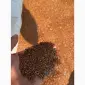 Льняное масло (коричневое) очищенное пищевое - фото № 2