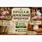Продам перепелину продукцію яйце мясо - фото № 1