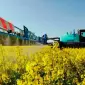 Постійний закупівельник зернових шукає партнерів - фото № 2