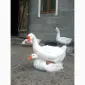Розпродаж гусей - фото № 1