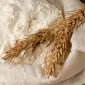 Закуповуємо борошно вищого ґатунку на постійній основі - фото № 1