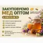 Закуповуємо мед оптом на постійній основі - фото № 1