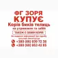 Закупівля ВРХ - фото № 1