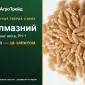 Пшениця тверда Алмазний — насіння еліта, РН-1 - фото № 1