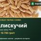 Пшениця тверда Блискучий — насіння - фото № 1