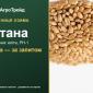 Пшениця Етана — насіння еліта, РН-1 - фото № 1