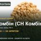 Пшениця Комбін (СН Комбін) — насіння еліта, РН-1 - фото № 1
