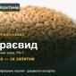 Пшениця Краєвид — насіння еліта, РН-1 - фото № 1