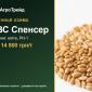 Пшениця КВС Спенсер — насіння, від 14 800 грн/т - фото № 1