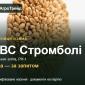 Пшениця КВС Стромболі — насіння еліта, РН-1 - фото № 1