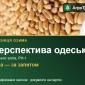 Пшениця Перспектива одеська для посіву - фото № 1