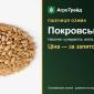 Насіння пшениці Покровська - фото № 1