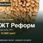 Пшениця РЖТ Реформ для посіву, від 14 800 грн/т - фото № 1