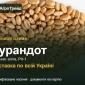 Пшениця озима Турандот — насіння, від 14 800 грн/т - фото № 1