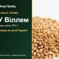 Пшениця ЗУ Віллем для посіву, від 14 800 грн/т - фото № 1